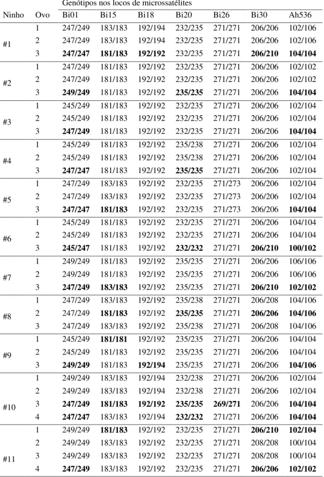 Tabela 3. Genótipos em sete locos de microssatélites das amostras de DNA extraídas  dos swabs coletados nos ovos de 16 ninhos de Bubulcus ibis na colônia de Rio Claro no  ano de 2010