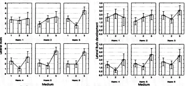 Fig.  4 -  Mean  plot  of number of lateral  buds  formed (righD  and  of  lateral  buds  developÍnentgroud  by medium;  categorized  by PGR  (See  table  I  for  media  x  PGR  combinations)