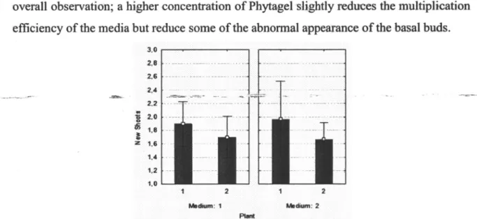 Fig.  l0  -  Mean plots  ofnew  shoots  grouped  by plant;  categorized  by medium.  l:  Fernale;  2:  Male;  Medium