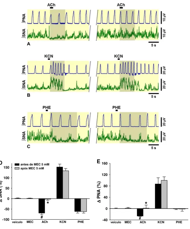 Figura  10.  (A)  Neurogramas  integrados  (∫)  representativos  da  SNA  e  PNA  obtidos  de  preparações  in  situ  coração-bulbo-hipotálamo