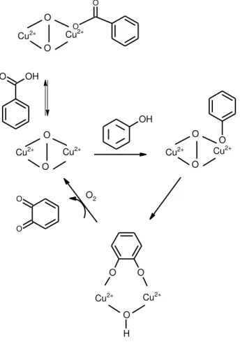 FIGURA 0.8-Mecanismo de inibição da enzima Tyr pelo ácido benzoico. Adaptado  de CONRAD, et al