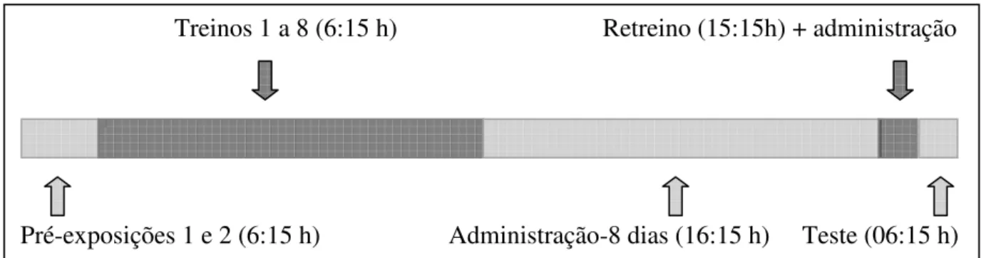 Figura 6: Esquema do procedimento experimental. Nesta são mostradas as sessões experimentais, a quantidade 