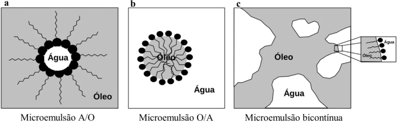 Figura 2.8 – Representação esquemática das três microestruturas mais comumente encontradas em sistemas  microemulsionados: (a) microemulsão água em óleo; (b) microemulsão óleo em água; (c) microemulsão 