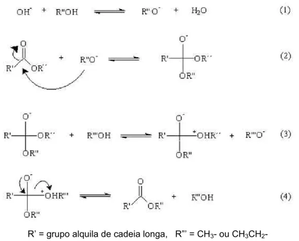 Figura 3.2-Mecanismo da reação de transesterificação de triacilgliceróis para a produção de biodiesel