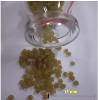 Figura 3.7. Fotografia das esferas de catalisador com 5% Ag, após secagem a temperatura  ambiente diâmetro médio de 2mm 
