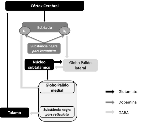 Figura  1:  Representação  esquemática  da  organização  funcional  do  circuito  dos  Núcloes  da  base  de  acordo  com  o  modelo  clássico  das  vias  diretas  e  indiretas  (Adaptada de Blandini et al