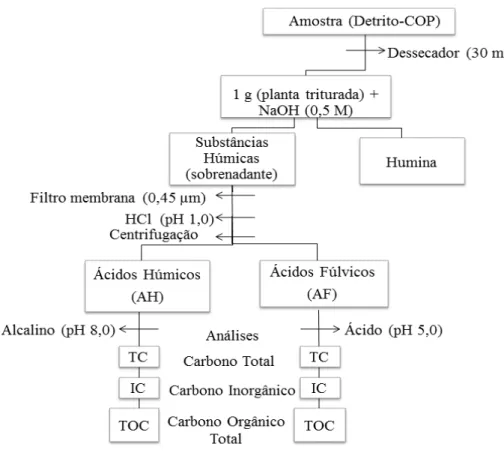 Figura 8. Diagrama esquemático do processo de obtenção das SH e análises  dos componentes húmicos (AH e AF); COP = carbono orgânico total