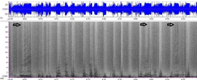 Figure 5: Spectrogram exemplifying one minute window from the FV_ITA2006  recording, indicating silent moments (black rectangles) once blowing at the sea 