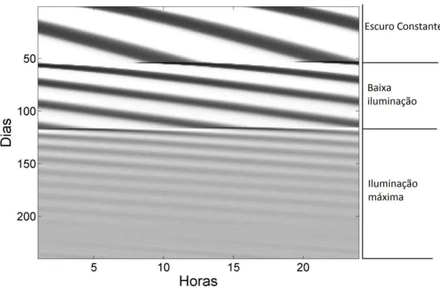 Figura  4  – Efeito tônico da luz sobre a atividade locomotora simulada. Actograma da  saída  da  região  dm-NSQ  durante  três  condições:  escuro  constante  (j v =0.156),  baixa  iluminação (jv=0.2) e máximo de iluminação (jv =0.3)