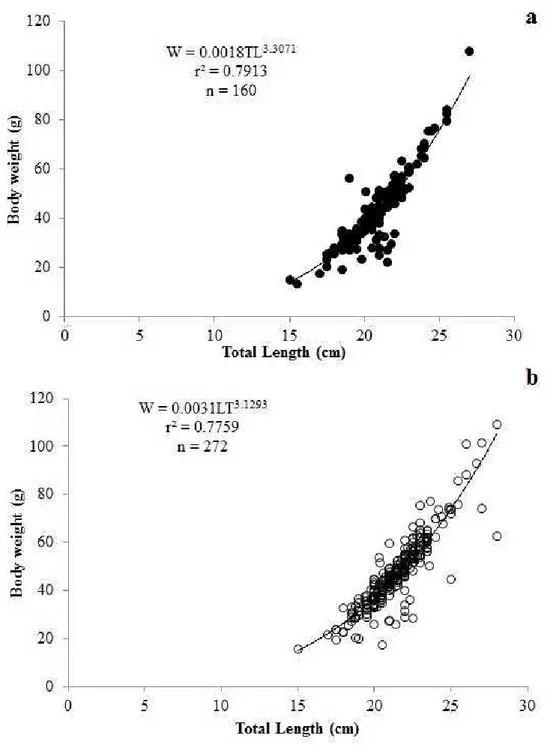 Figure 2. Length-Weight relationship of (a) males and (b) females of H. brasiliensis. 