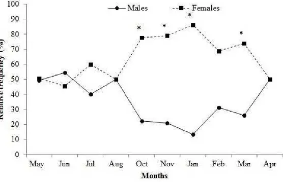 Figure 3. Monthly sex ratio of H. brasiliensis. * Significant difference of the observed sex  ratio from the expected 1:1