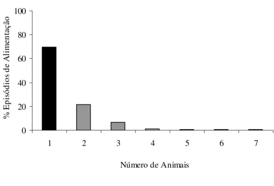 Figura 02: Número de animais durante os episódios de alimentação.  