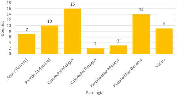 Gráfico 1 – Consultas Assistidas por Patologia  (n = 61)