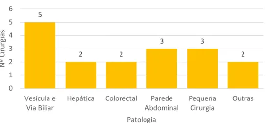 Gráfico 3 – Cirurgias Programadas por Patologia  (n = 17)