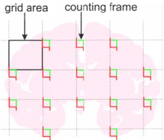 Figura 2 – Representação do método de contagem utilizado pelo fracionador óptico, mostrando a  distribuição  de  caixas  de  contagem  através  de  grades  com  distâncias  uniformes  que  cobrem  homogeneamente a área de interesse