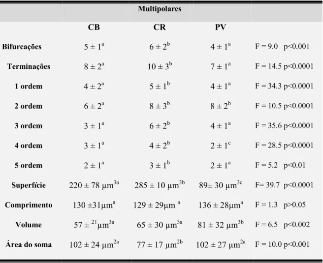 Tabela 3. Comparações dos perfis morfométricos entre os diferentes grupos imunorreativos  para proteínas  ligantes de  cálcio descritos no córtex pré frontal  do sagui