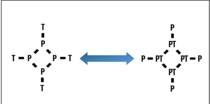 Figura 3: Relação entre teoria (T), prática (P) e produção de teoria (PT) 