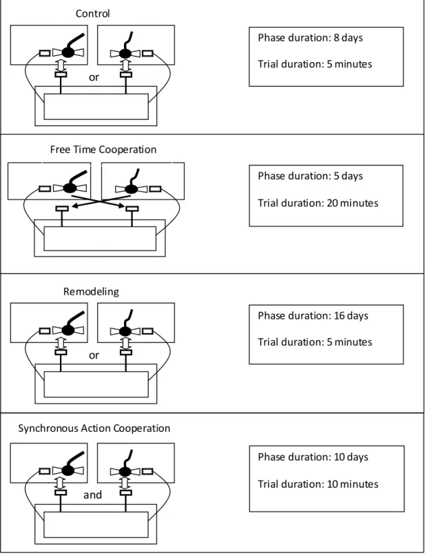 Fig 2 Ove rhead view showing the electrical apparatus and respective e xperimental phases