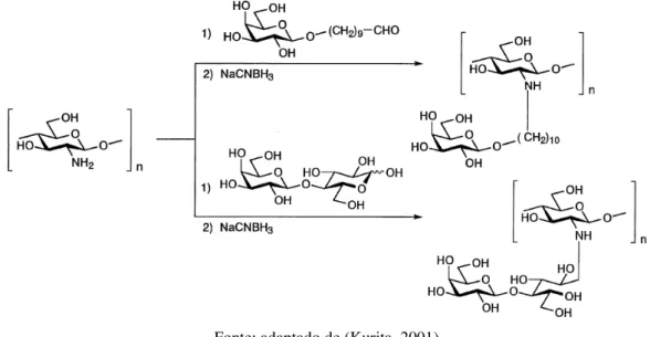 Figura 3.7 -  Reações de N-alquilação redutiva da quitosana com açúcares