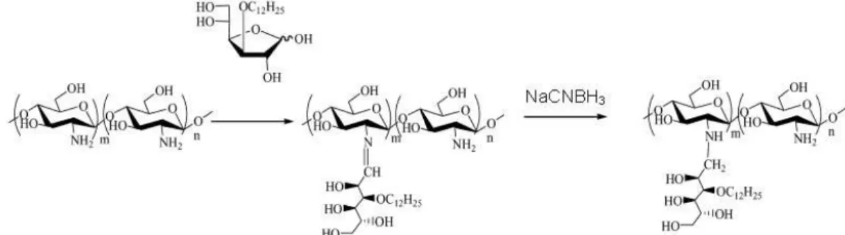 Figura 3.10 -  Reação de N-alquilação redutiva da quitosana com 3-O-dodecil-D-glucose 