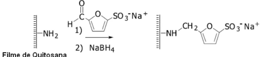 Figura 3.12 -  Reação de N-alquilação redutiva na superfície da quitosana