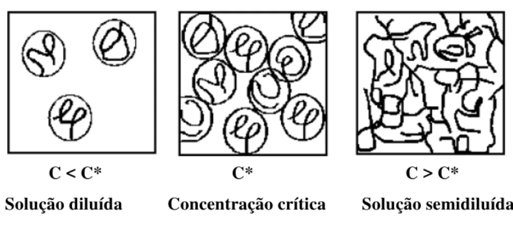 Figura 3.15 -  Representação dos regimes de concentração de polímero em solução e da concentração  crítica (C*) 
