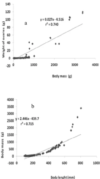 Figure  2.  Correlations of (a) body mass (Wt) and  length (Lt); (b) gonad weight (Wg) and body mass  (Wt) of females S