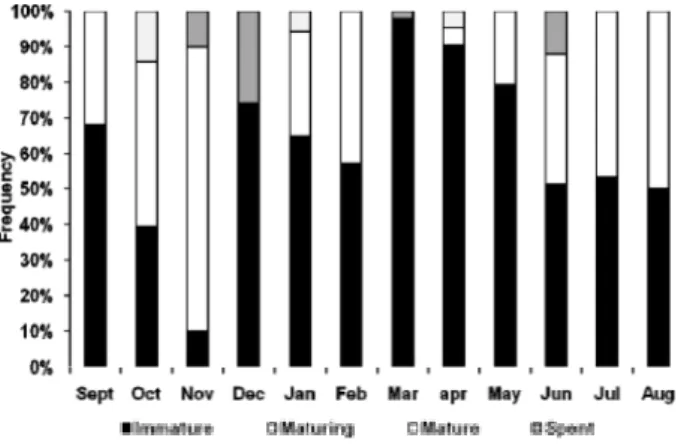 Figure  4. Monthly frequency of ovarian maturity  stages in S. brasiliensis during 2005 to 2006