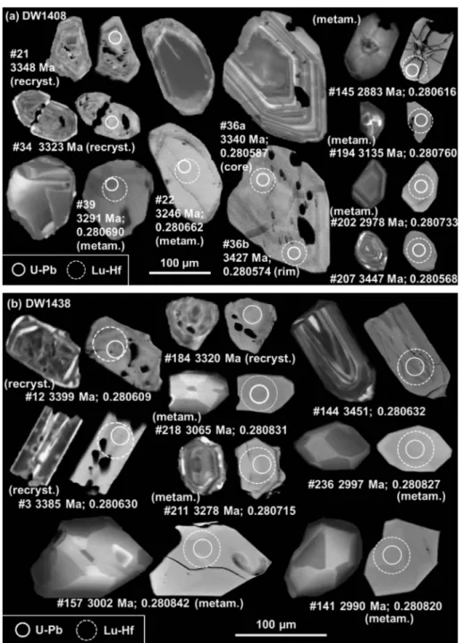 Fig. 8. CL and BSE images of representative detrital, recrystallised and metamorphic zircon grains from samples (a) DW1408 and (b) DW1438