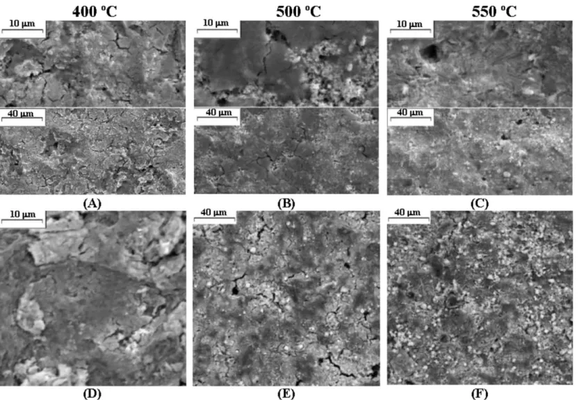 Fig. 1. SEM micrographs of (Ti) Ir 0.3 Mn 0.7 O 2 electrodes as a function of annealing temperature