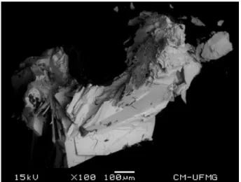 Fig. 1. BSI image of plumbotsumite.