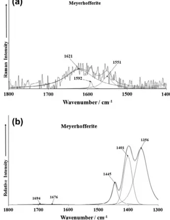 Fig. 8. (a) Raman spectrum of meyerhofferite (upper spectrum) in the 2600–