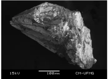Fig. 1. Backscattered electron image (BSI) of a plumbophyllite crystal aggregate up to 0.5 mm in length.