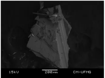 Fig. 1. Backscattered electron image (BSI) of a lomonosovite single crystal up to 1.0 mm in length.