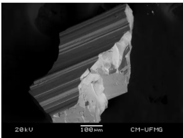 Fig. 1. Backscattered electron image (BSI) of an ardennite-(As) crystal fragment up to 1.0 mm in length.