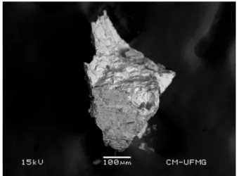 Fig. 1. Backscattered electron image (BSI) of a lulzacite crystal fragment up to 0.5 mm in length.