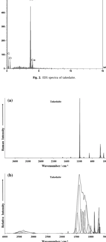 Fig. 1. Backscattered electron image (BSI) of a takedaite fragment up to 2.0 mm in length.