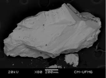 Fig. 1. Backscattered electron image (BSI) of a phosphophyllite fragment up to 2.0 mm in length.