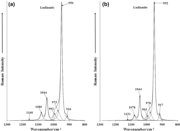 Fig. 4. Infrared spectrum of ludlamite (samples SAA-091 and SAA-092) in the 500–1300 cm 1 spectral range.