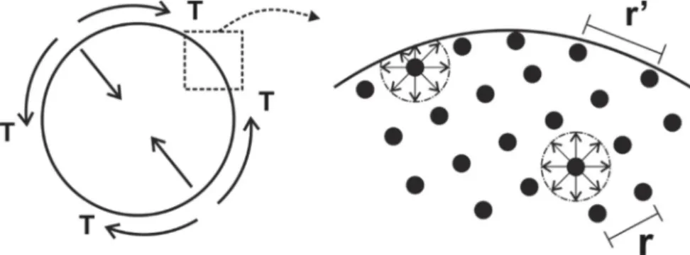 Figura 3 – Gotícula de um líquido em equilíbrio, mostrando as tensões superficiais  (T) e o arranjo dos átomos na sua superfície