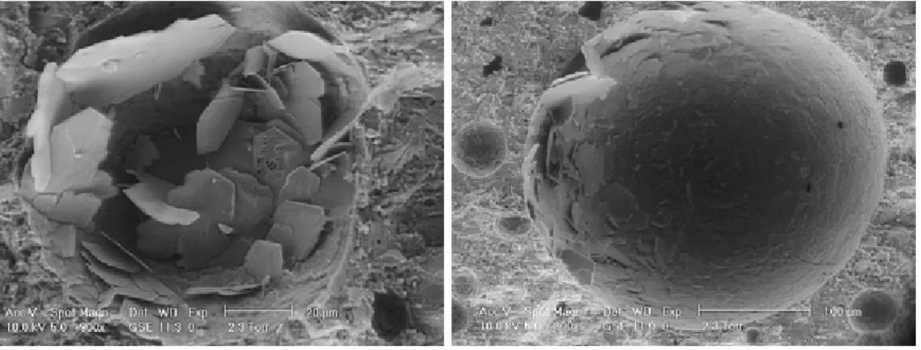 Figura 10 – Imagens de Microscópio Eletrônico de Varredura Ambiental, de poros de  ar incorporado por detergentes sintéticos com 7 dias de cura, apresentando produtos 