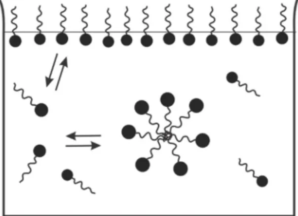 Figura 13 – Esquema de formação de micelas em uma solução dinâmica   de substâncias surfactantes