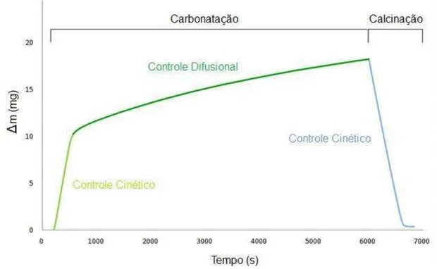 Figura 2.7  – Termograma indicando os diferentes mecanismos de controle para um ciclo completo de  carbonatação-calcinação de óxido de cálcio