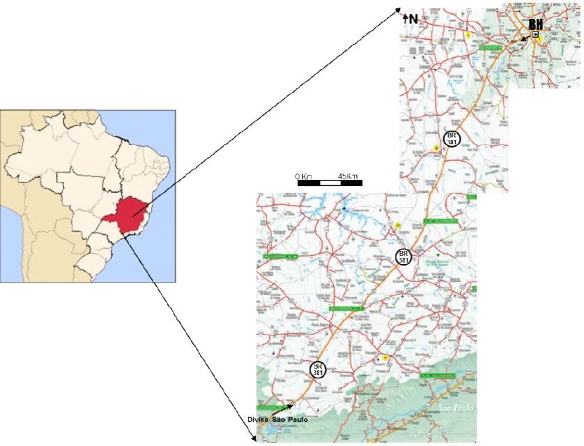 Figura  4.1.  –  Malha  rodoviária  do  Sul  e  Sudoeste  do  Estado  de  Minas  Gerais,  com  destaque  o  segmento  de  ligação  Belo  Horizonte/São  Paulo  (Rodovia  BR  381)  e  os  municípios  de  entorno