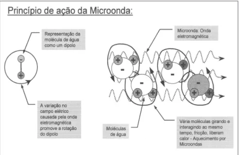 Figura 1 - Princípio de ação das microondas (Metaxas e Meredith, 1983).