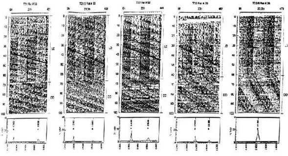 Figura 1. Actogramas mostrando o ritmo de atividade dos animais sobre diferentes regimes  de luz com períodos simétricos de 21h; 21,5h; 22h; 23h e 23,5h (Campuzano e cols., 1998)