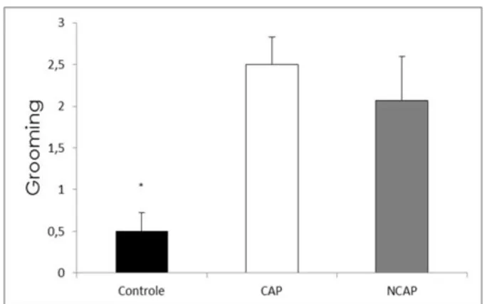 Figura 14. Quantidade média de grooming realizado durante o teste do campo aberto pelos  grupos  controle,  CAP  e  NCAP  respectivamente