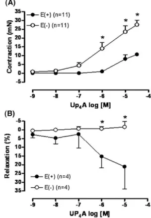 Fig. 1.Up 4 A induces contraction and relaxation in rat aorta. Concentration–effect curves to Up 4 A (10 −9 to 3 × 10 −5 M) were performed in intact [E(+)] and  endothelium-denuded [E(−)] rat aortic rings