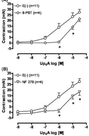 Fig. 3. Up 4 A-induced contraction involves activation of P1 and P2X1 receptors.