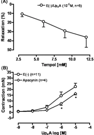 Fig. 4. Up 4 A-induced contraction involves activation of L-type Ca 2+ channels and the Rho-kinase pathway
